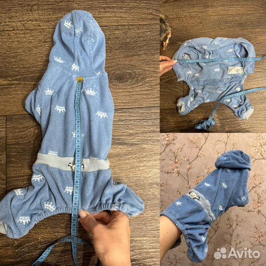 Одежда для собак