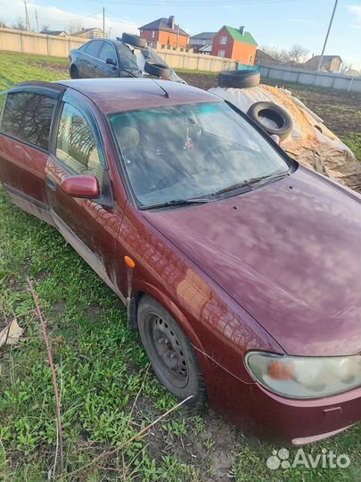 Nissan almera n16 в разборе