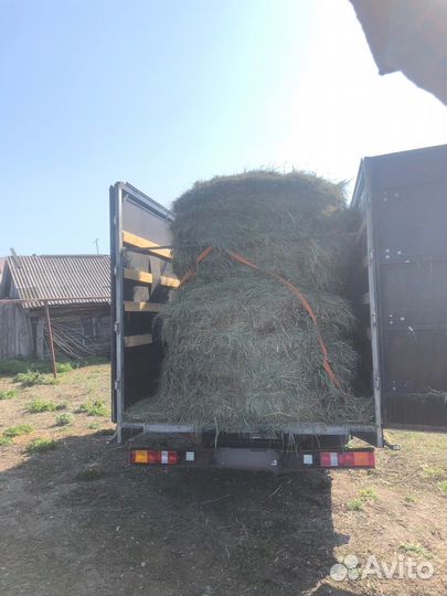 Грузоперевозки межгород