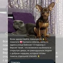 Помогите пожалуйста найти