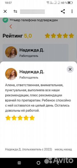 Няня-педагог, ночной бэбиситтер