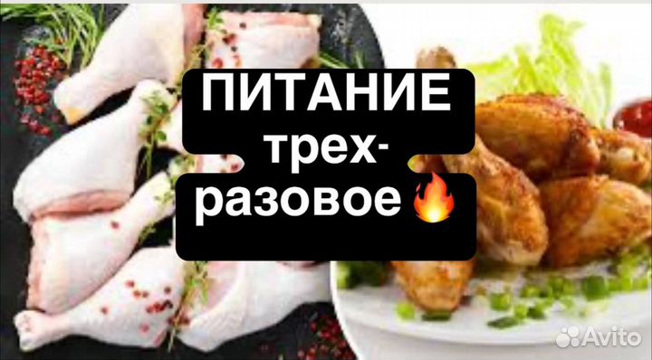 Г.шахты/упаковщик