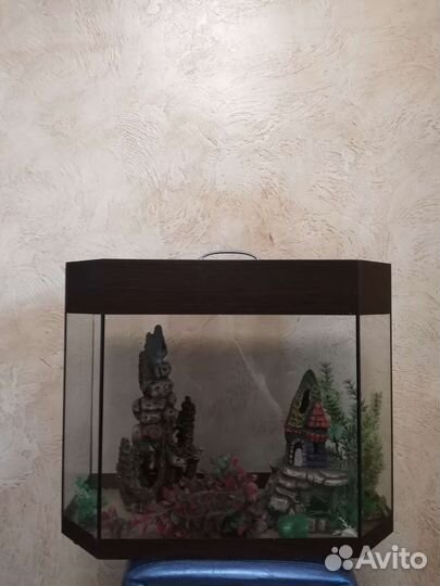 Аквариум