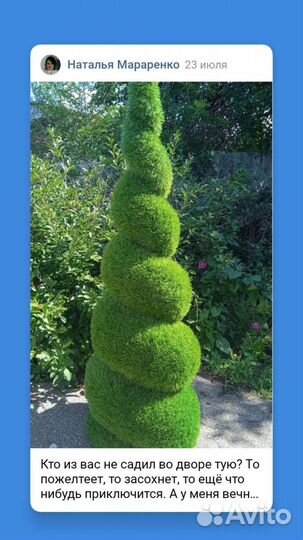 Фигуры для сада - топиарий