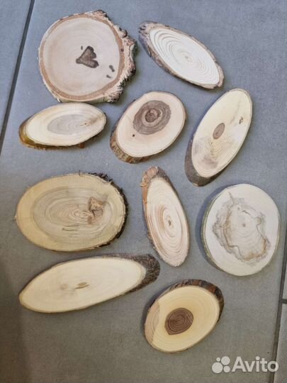 Спилы дерева