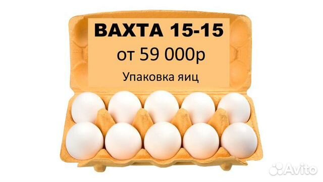 Москва Вахта Упаковщик / ца яиц на Птицефабрику