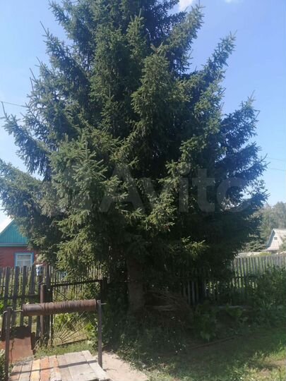 Дача 40 м² на участке 10 сот.