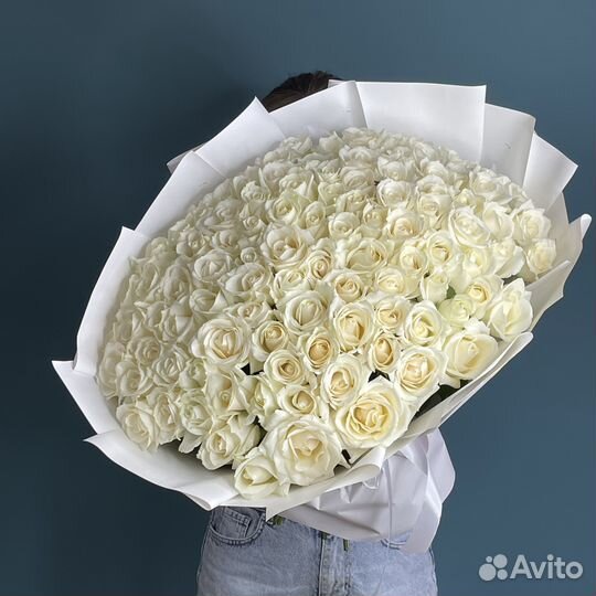 Розы Букет 25 51 101 роза