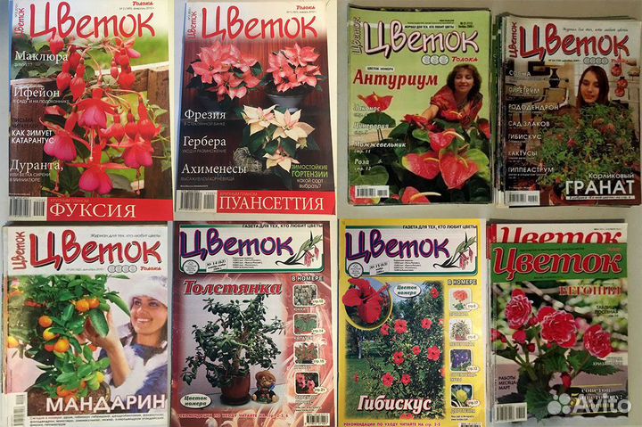 Книги.Журналы:Цветок,Домашние цветы,Узамб.фиалка