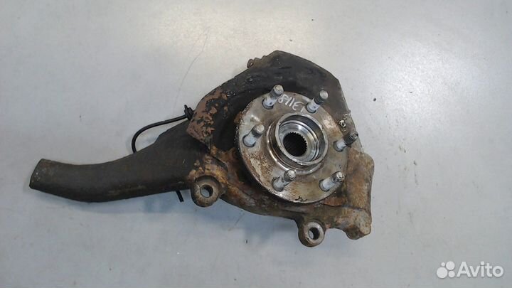 Ступица (кулак, цапфа) Nissan Navara, 2006