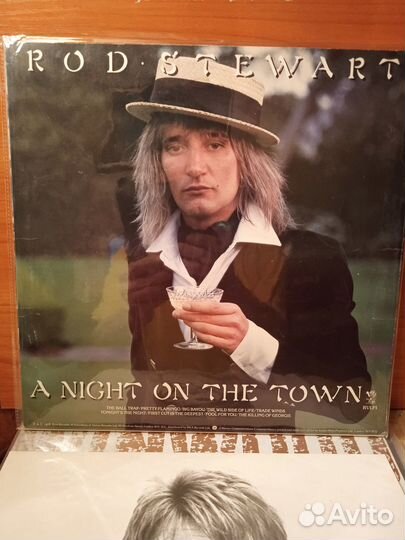 Виниловая пластинка