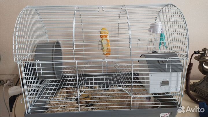 Клетка для грызунов