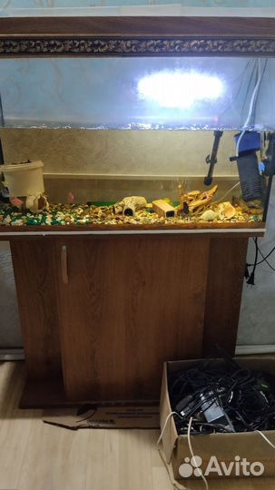 Аквариум