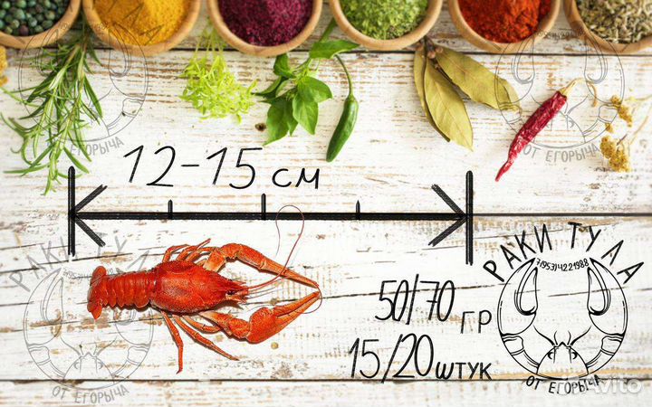 Живые раки / Готовые раки 24/7 / Раки оптом