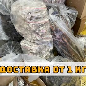 Лакомства для собак оптом