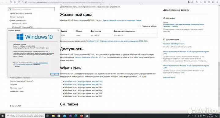 Windows 10 21H2 до 2032 года