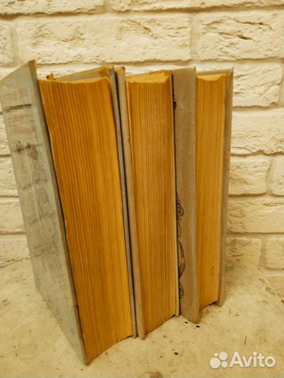 Дюма виконт де Бражелон или 10 лет спустя