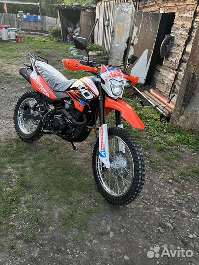 Racer Panther 300