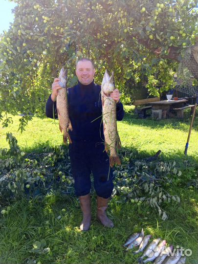 Рыбалка с гидом