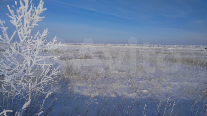 Участок 60 га (СНТ, ДНП)