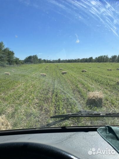 Вывоз мусора