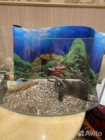 Аквариум