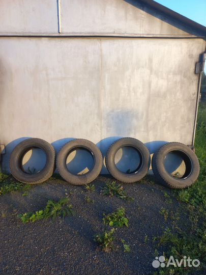 Gislaved Nord Frost 200 205/65 R16