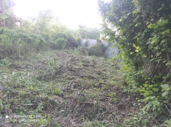 Участок 8,1 сот. (СНТ, ДНП)