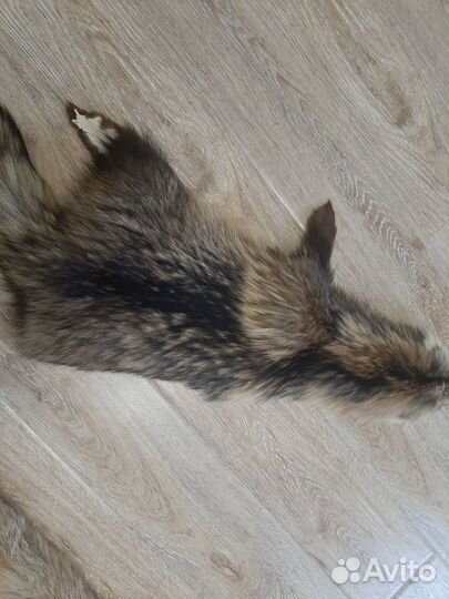 Шкурки мех хорь,норка,ондатра