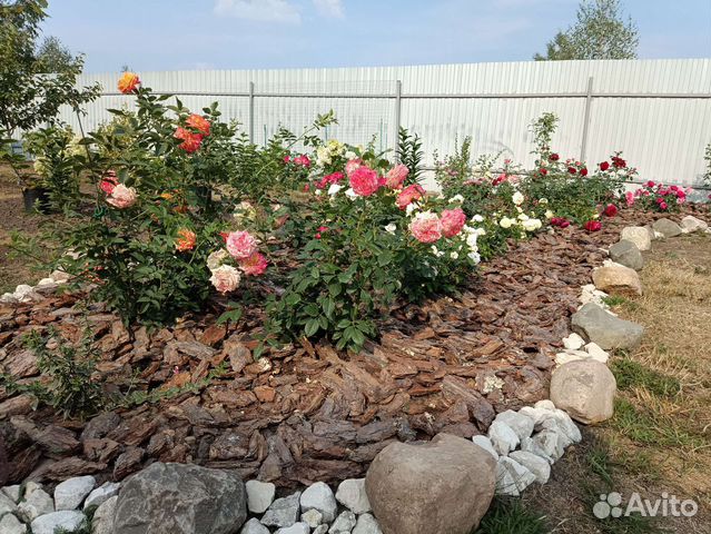 Кора сосновая/мульча с доставкой