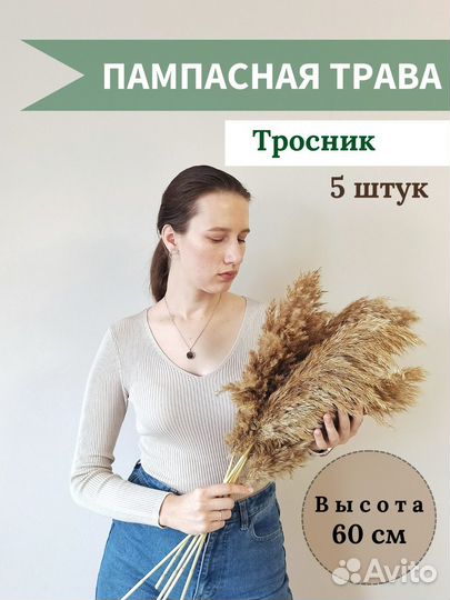 Сухоцветы пампасная трава тросник камыш