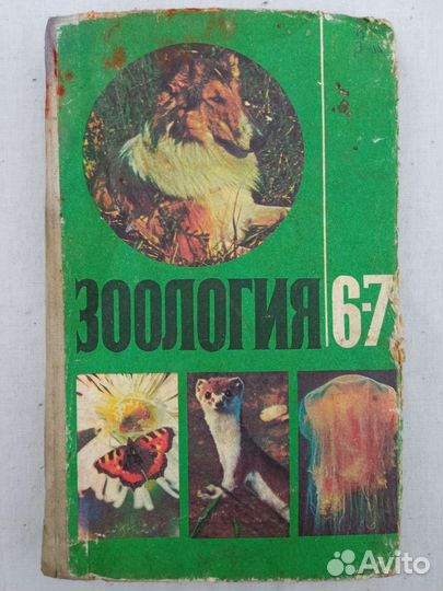 Учебник по зоологии 6-7 класс 1981