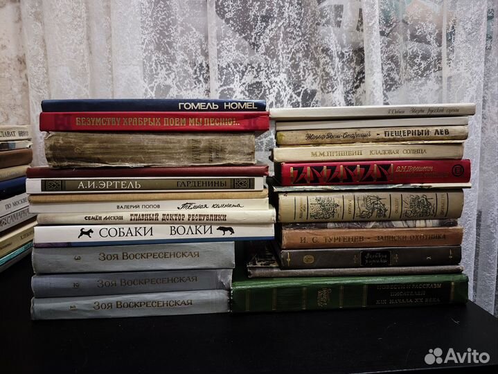 Книги/художественная литература/о Салавате Юлаеве