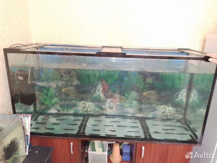 Аквариум