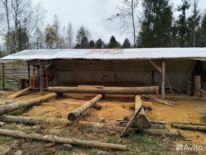 Пилорама+лес на корню, готовый бизнес