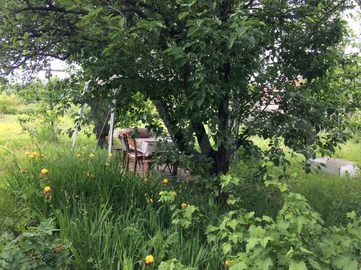 Дом 46 м² на участке 18,5 сот.