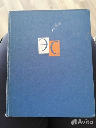 Энциклопедический словарь в 2-х томах