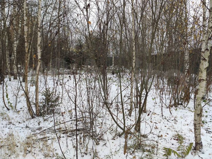 Участок 7 сот. (ИЖС)