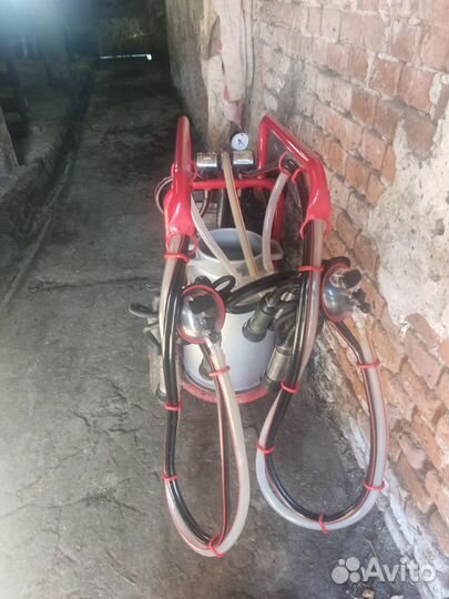 Доильный аппарат и сепаратор