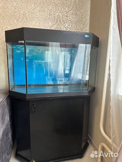 Аквариум с тумбой 160 литров