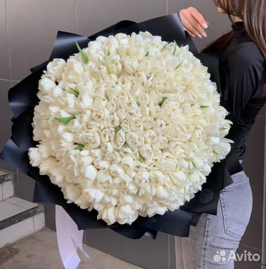 Тюльпаны букет тюльпанов 151