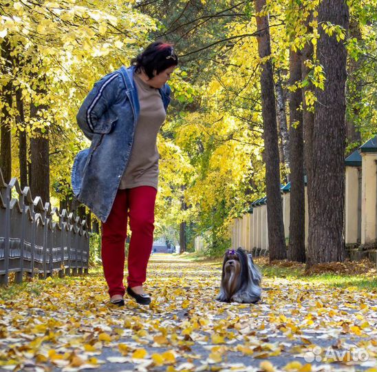 Вязка-бивер Кирюша