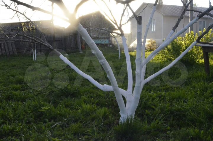 Дом 76 м² на участке 30 сот.