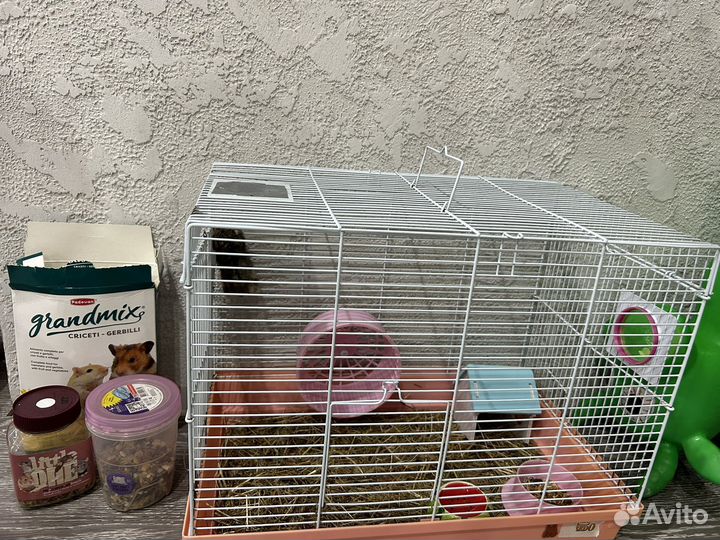 Хомяк с клеткой