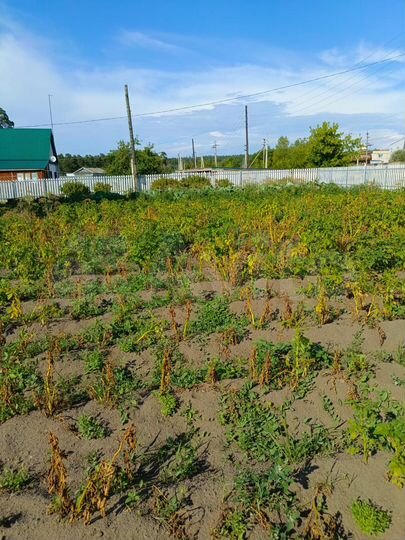 Дом 62 м² на участке 14 сот.