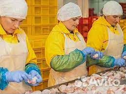 Фасовщик-упаковщик/ца вахта в Тамбов с жильем