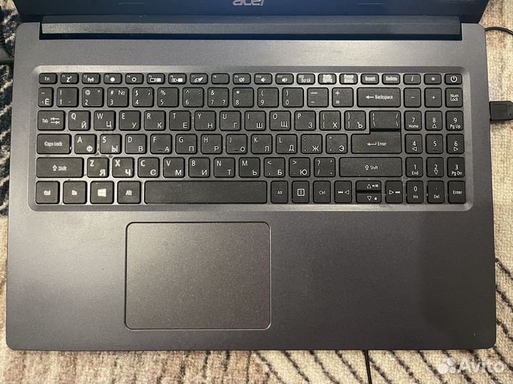 Acer extensa ex215