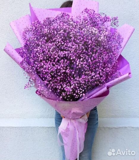 Гипсофила разных цветов с WOW-эффектом