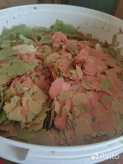 Корм для рыб