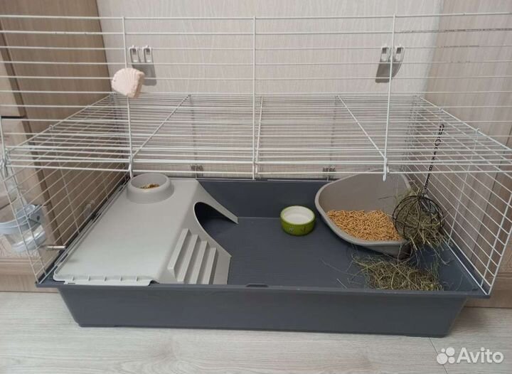 Кролик декоративный Баран